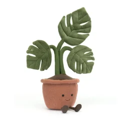 Amuseables Monstera Plant