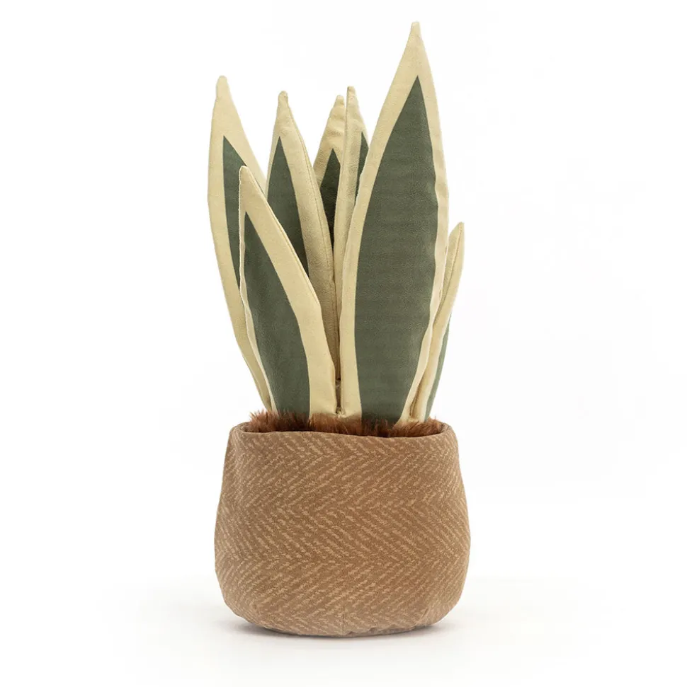 Amuseables Snake Plant