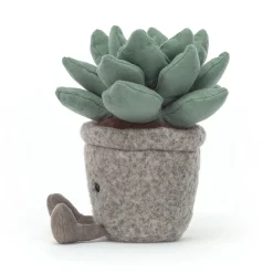 Silly Succulent Azulita