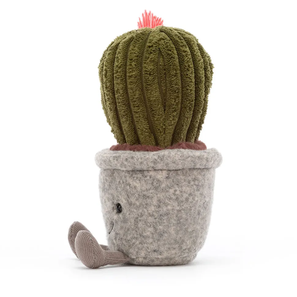 Silly Succulent Barrel Cactus
