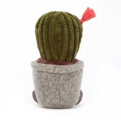 Silly Succulent Barrel Cactus